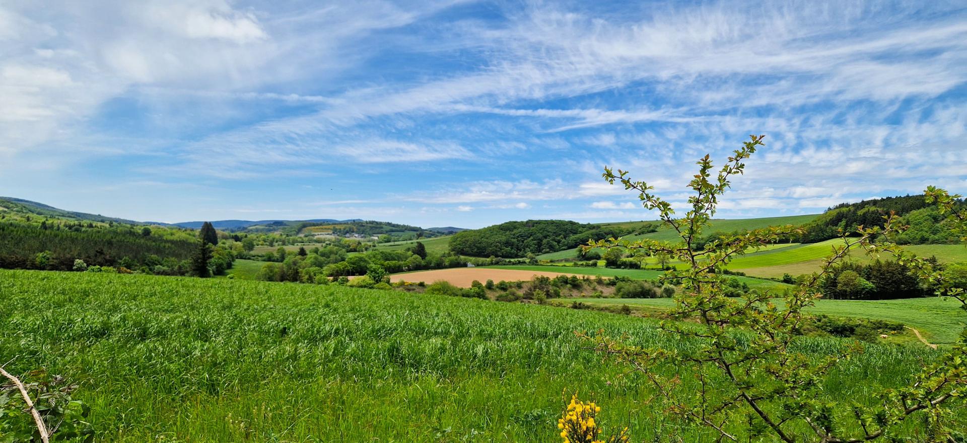 Le Haut Languedoc